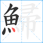 鯞笔顺分解图片10