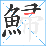 鯞笔顺分解图片14