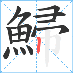 鯞笔顺分解图片17