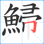 鯞笔顺分解图片18