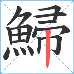 鯞笔顺分解图片19