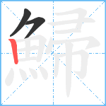 鯞笔顺分解图片3