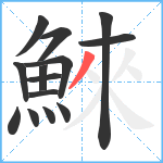 鯠笔顺分解图片14