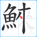 鯠笔顺分解图片15