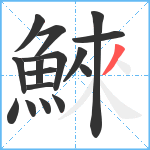 鯠笔顺分解图片16