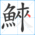 鯠笔顺分解图片17