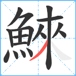 鯠笔顺分解图片18