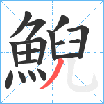鯢笔顺分解图片18