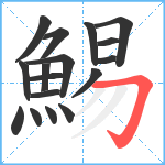 鯣笔顺分解图片17