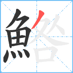 鯦笔顺分解图片12