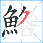 鯦笔顺分解图片13