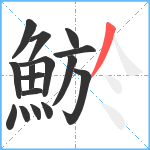 鯲笔顺分解图片16