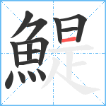 鯷笔顺分解图片15