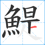 鯷笔顺分解图片18