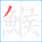 鯸笔顺分解图片1