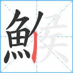 鯸笔顺分解图片13