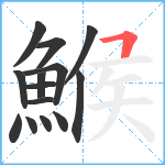 鯸笔顺分解图片14