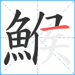 鯸笔顺分解图片15