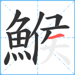 鯸笔顺分解图片17