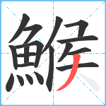 鯸笔顺分解图片19