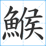 鯸笔顺分解图片21