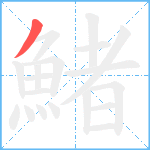 鯺笔顺分解图片1