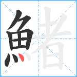 鯺笔顺分解图片10