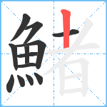 鯺笔顺分解图片13