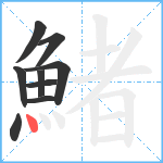 鯺笔顺分解图片9