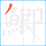 鯽笔顺分解图片1