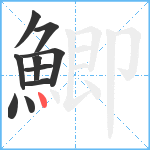 鯽笔顺分解图片10