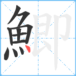 鯽笔顺分解图片11