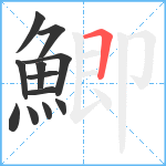 鯽笔顺分解图片12