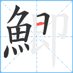 鯽笔顺分解图片13