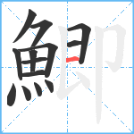 鯽笔顺分解图片14