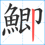 鯽笔顺分解图片18