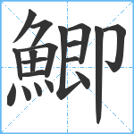 鯽笔顺分解图片19