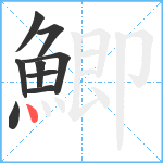 鯽笔顺分解图片9