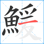 鰀笔顺分解图片17