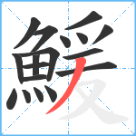 鰀笔顺分解图片18