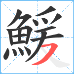 鰀笔顺分解图片19