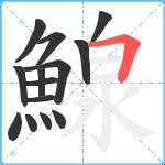 鰁笔顺分解图片14