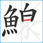 鰁笔顺分解图片16
