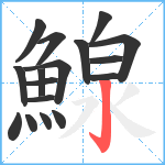 鰁笔顺分解图片17