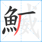 鰄笔顺分解图片13