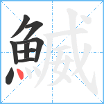 鰄笔顺分解图片9