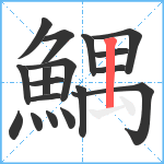 鰅笔顺分解图片18