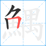 鰅笔顺分解图片4