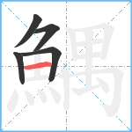 鰅笔顺分解图片5