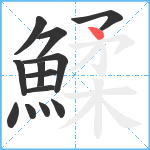鰇笔顺分解图片13